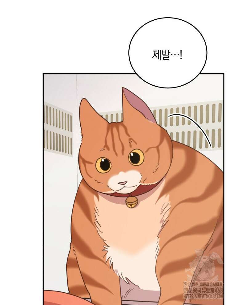 접경지역의 동물병원 146화 11