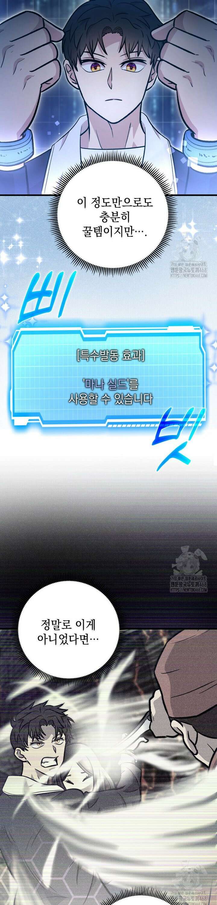 마력이 0.06인 내가 스킬레벨만으로 최강 헌터가 되어 새총의 위대함 17화 25