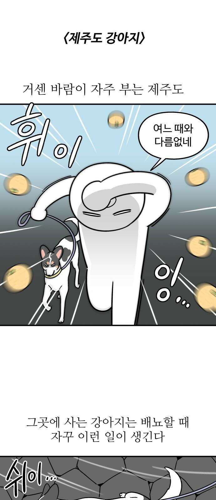 노곤하개 쇼츠 제주도 강아지 2