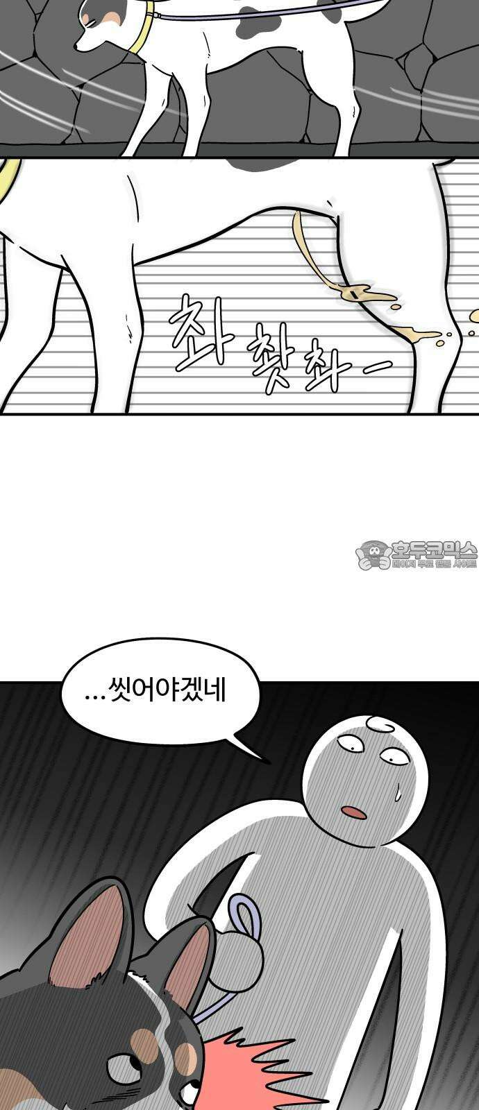 노곤하개 쇼츠 제주도 강아지 3