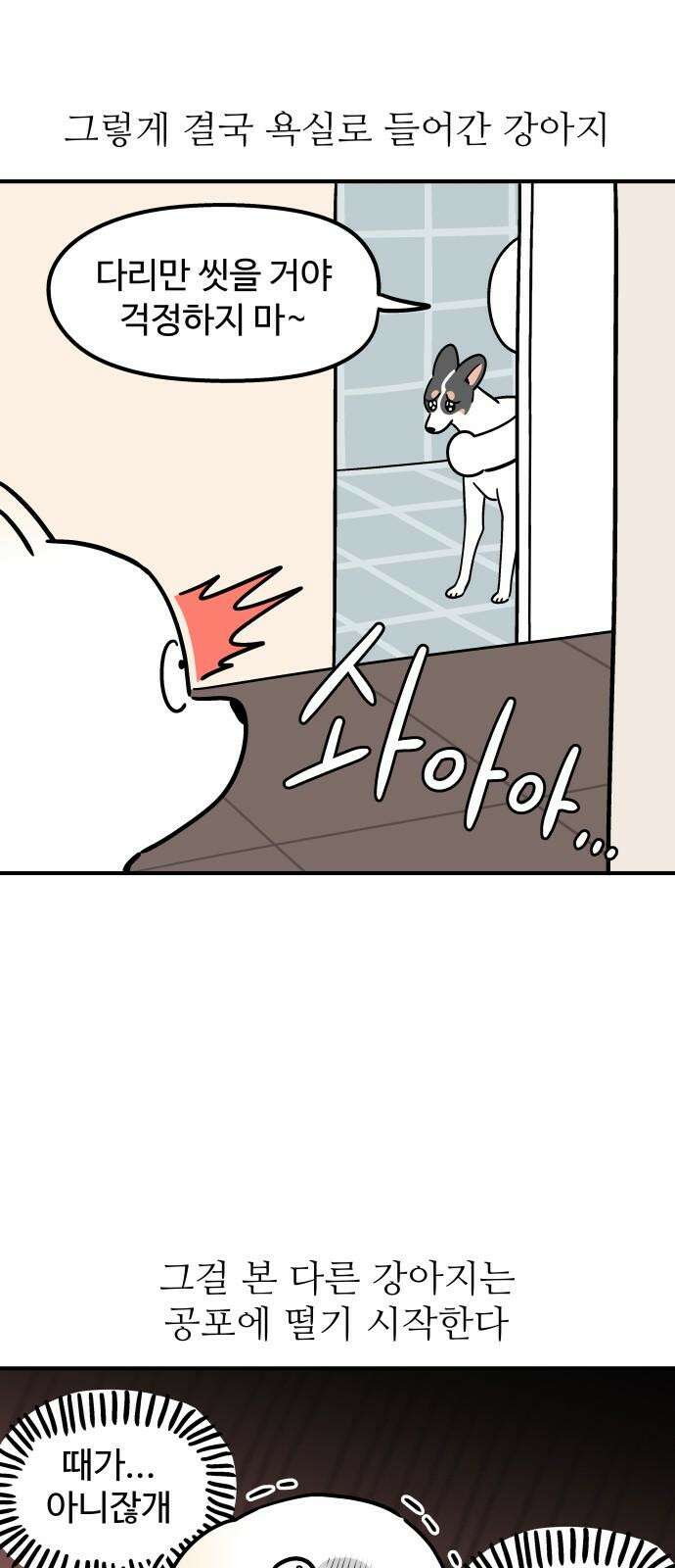 노곤하개 쇼츠 제주도 강아지 5