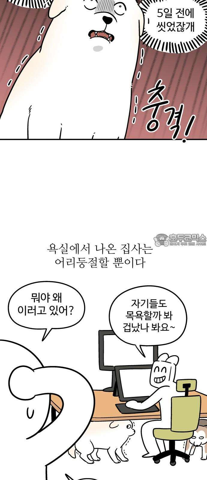 노곤하개 쇼츠 제주도 강아지 6