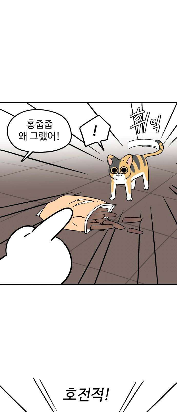노곤하개 쇼츠 제주도 강아지 10