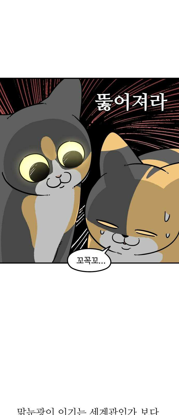 노곤하개 쇼츠 제주도 강아지 13