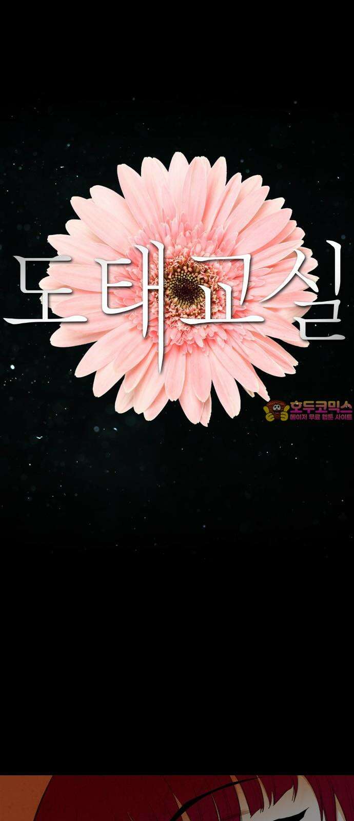 도태교실 후기 1
