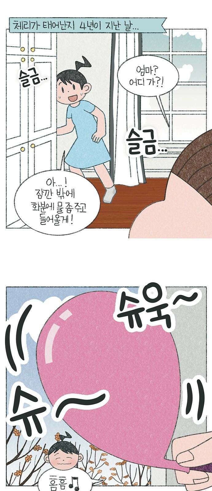 마님이네 미국 시골집 이야기 165화 4살 생일 선물 2