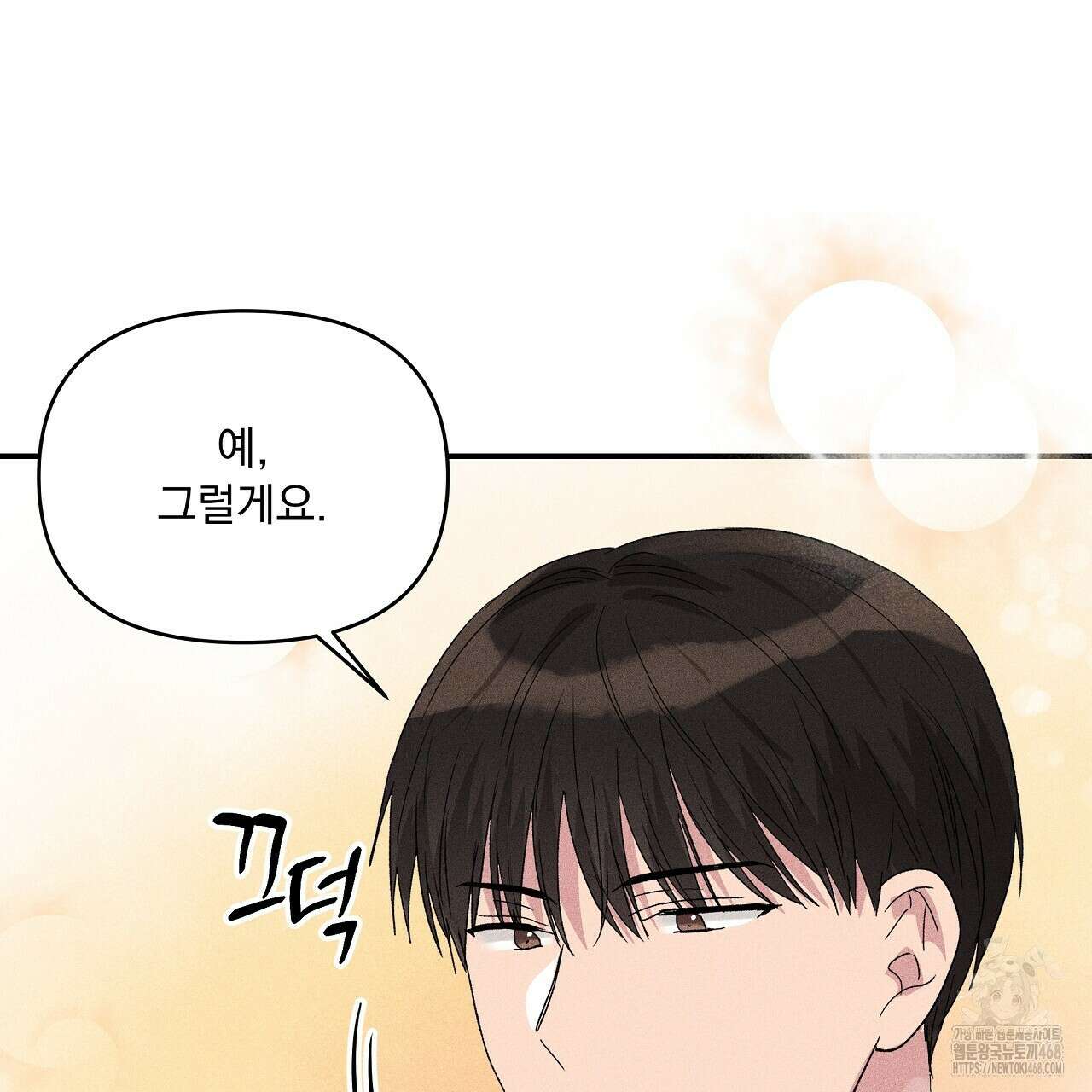 치치 시리즈 48화 17