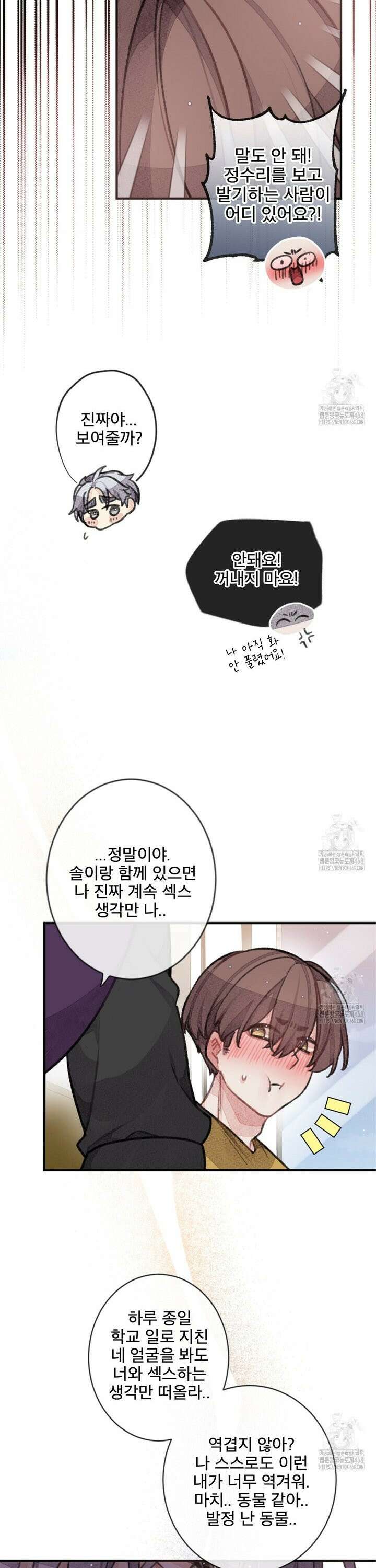 미스터 베타 72화 19