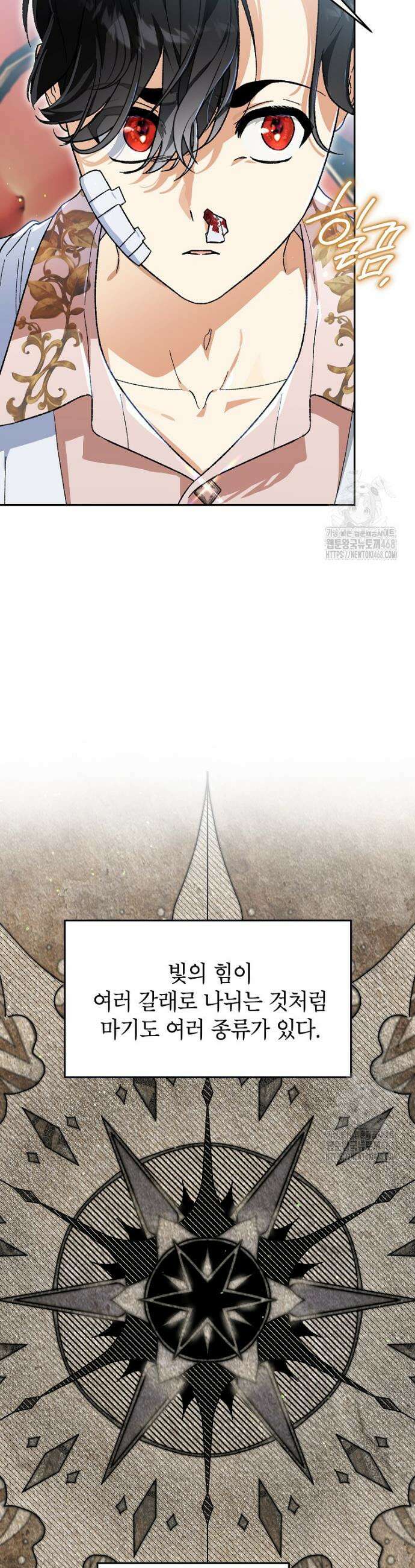 암흑명가 천재 망나니가 되었다 21화 21