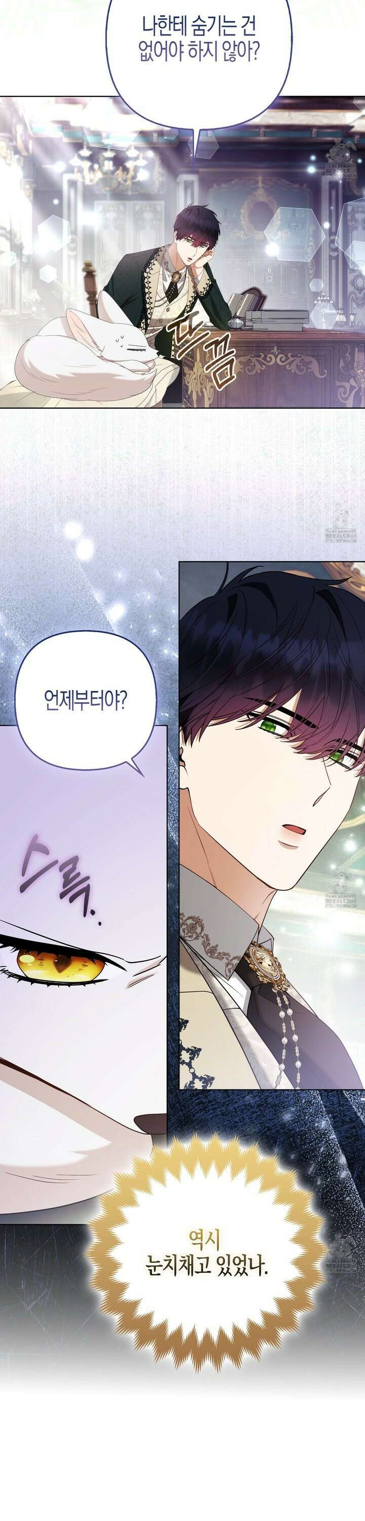 대공가의 여우 황녀님 72화 28