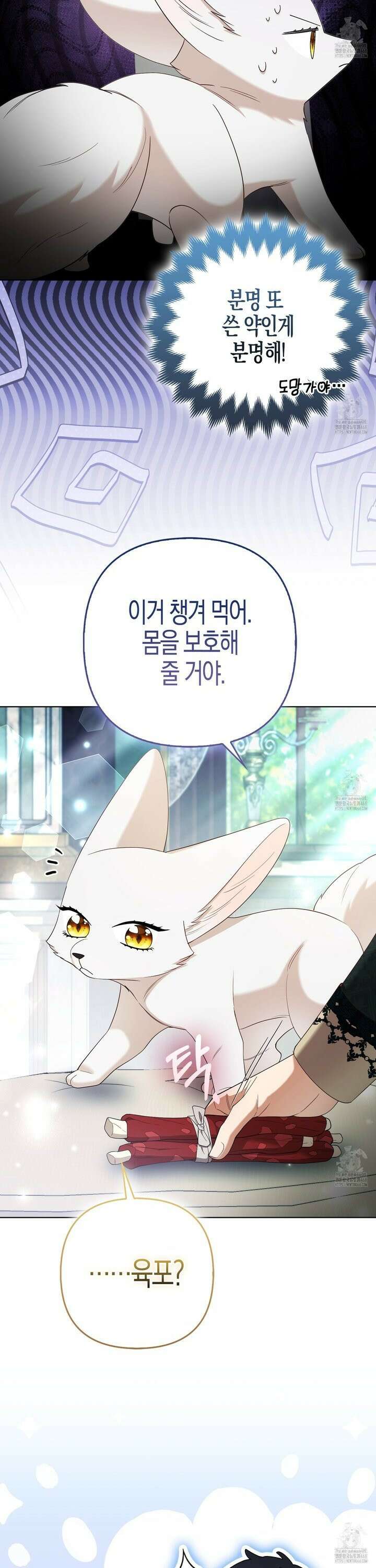 대공가의 여우 황녀님 72화 30