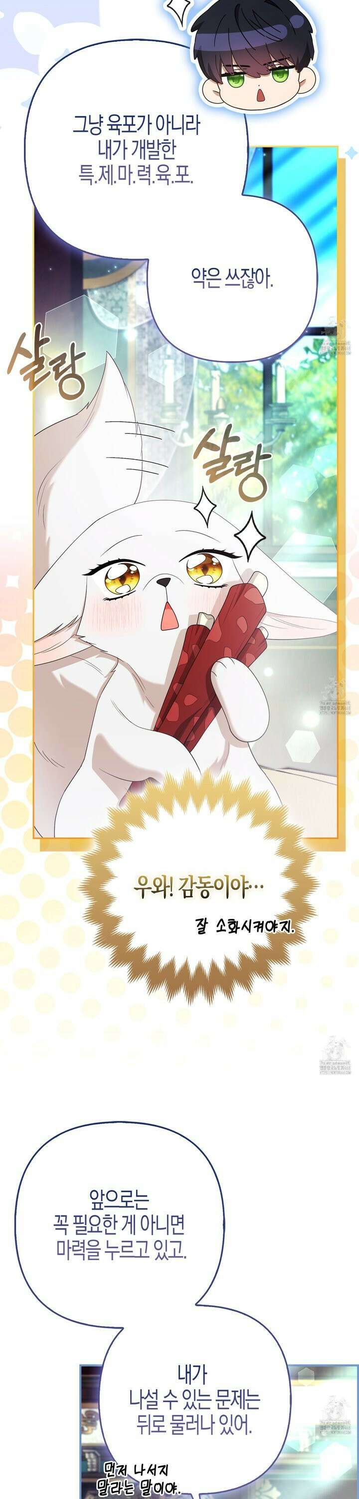 대공가의 여우 황녀님 72화 31