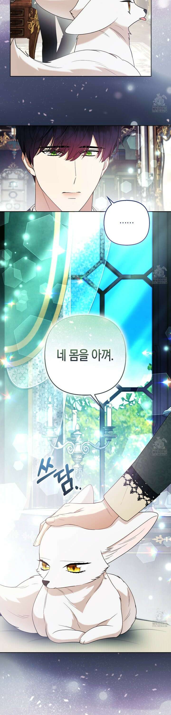 대공가의 여우 황녀님 72화 33