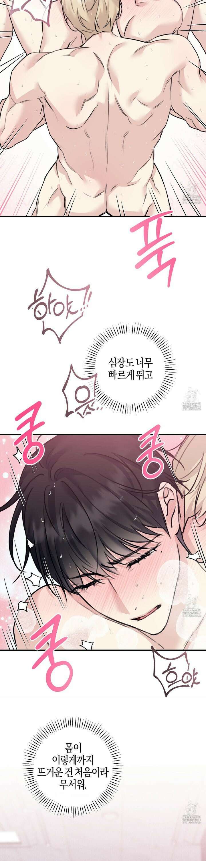 해와 달의 공생관계 42화 13