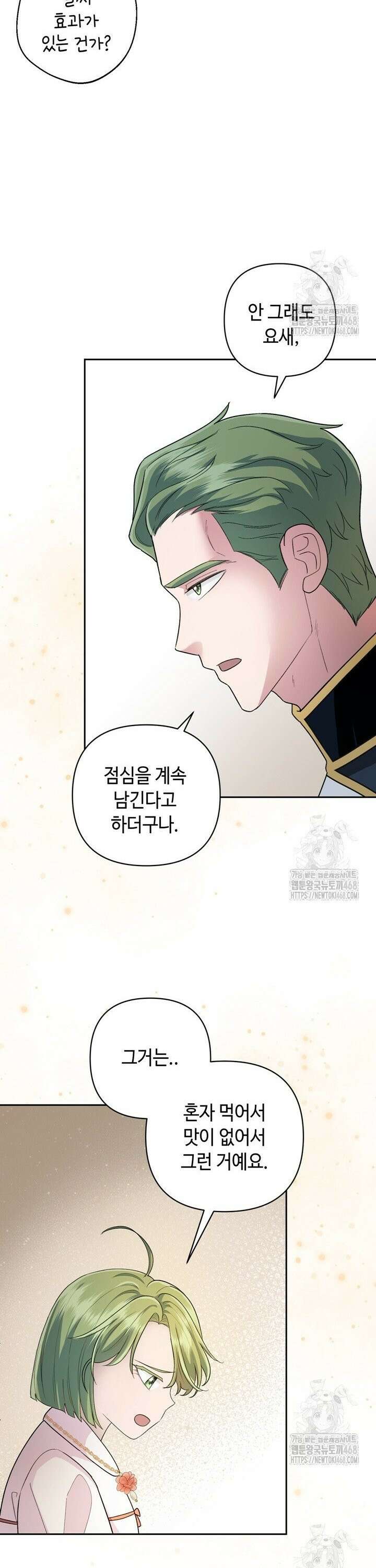 몰락한 왕녀에게는 회귀가 필요합니다 9화 8