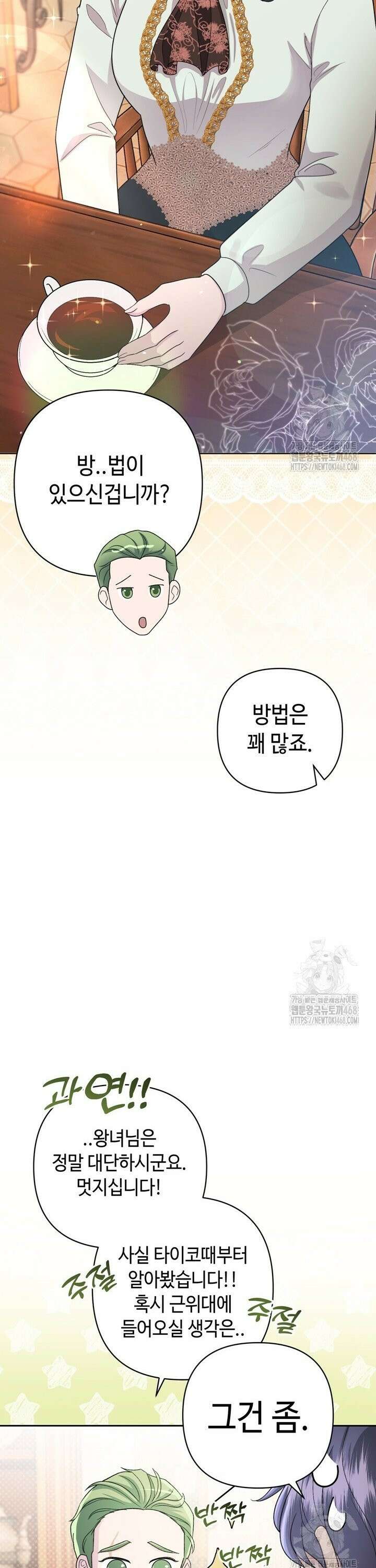 몰락한 왕녀에게는 회귀가 필요합니다 9화 19