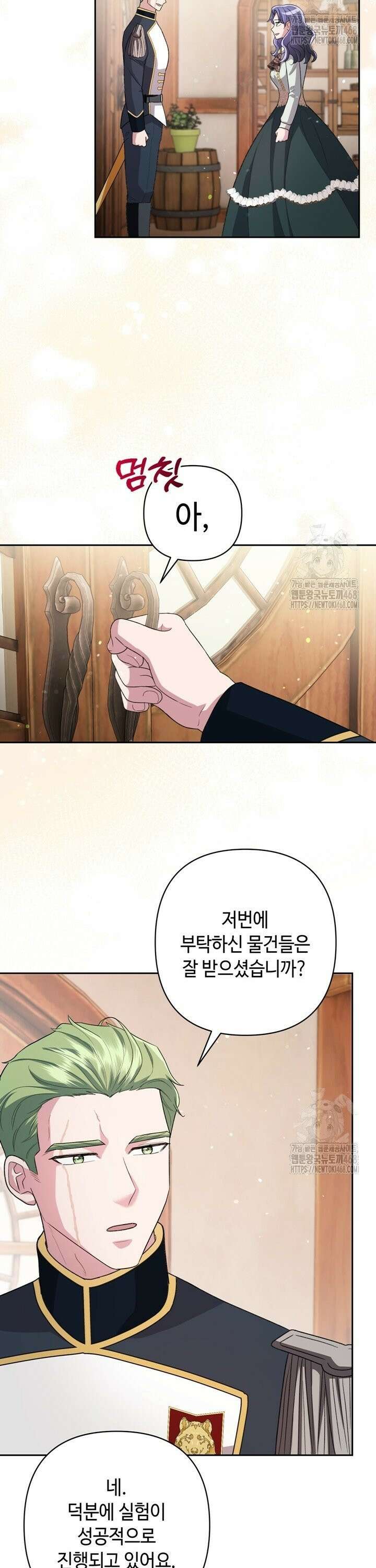 몰락한 왕녀에게는 회귀가 필요합니다 9화 22