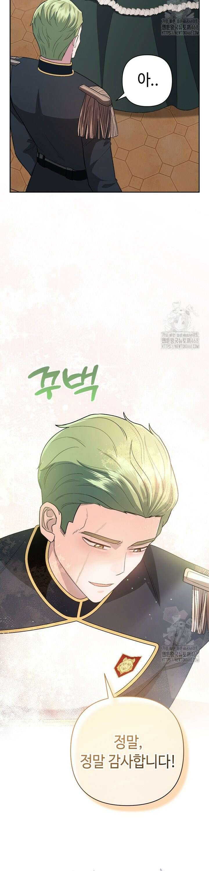 몰락한 왕녀에게는 회귀가 필요합니다 9화 24
