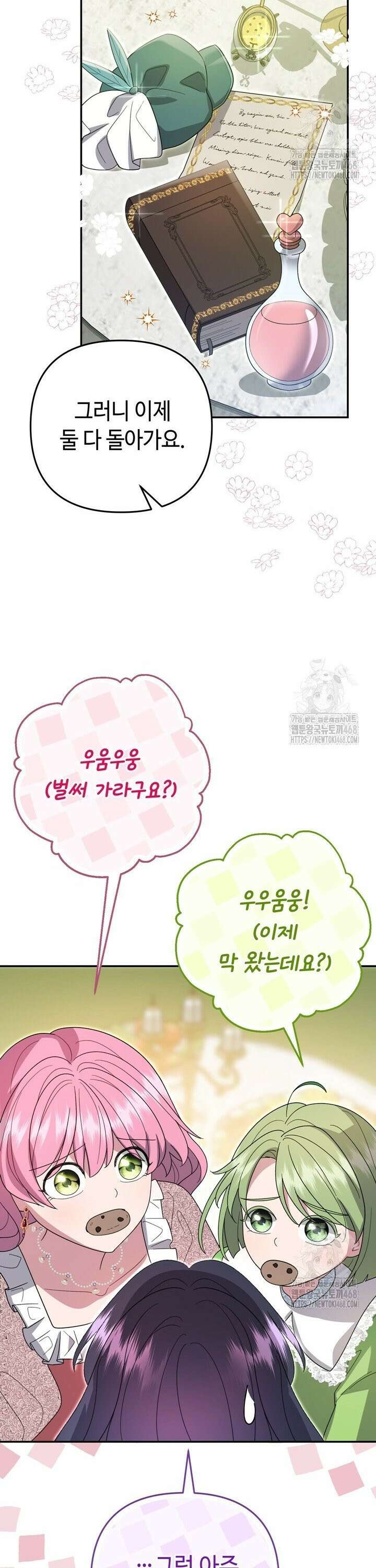 몰락한 왕녀에게는 회귀가 필요합니다 29화 19