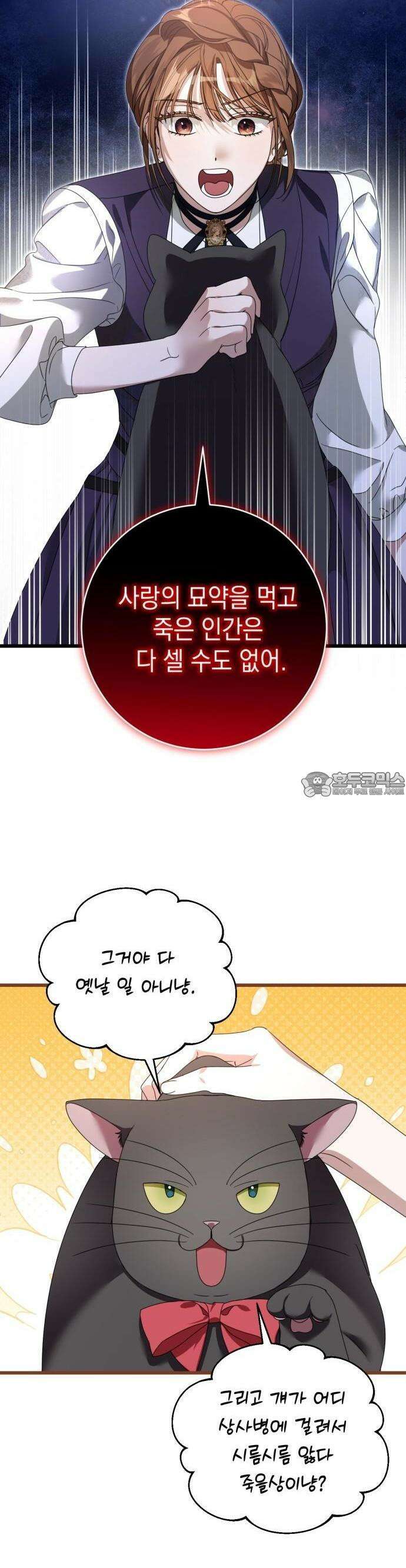 첫사랑은 원래 그런 법이랍니다, 전하 3화 5