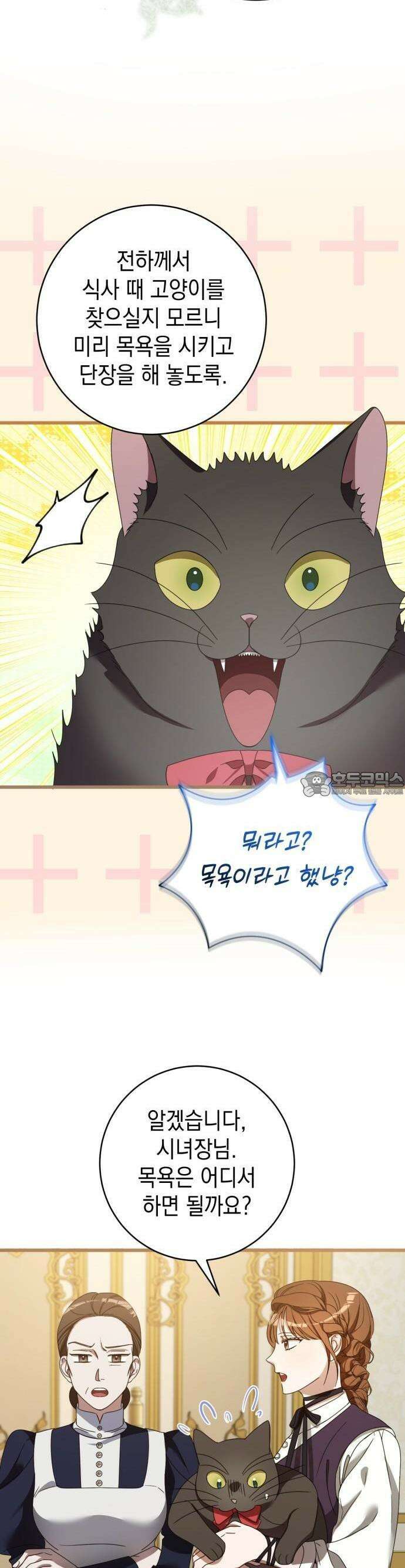 첫사랑은 원래 그런 법이랍니다, 전하 3화 42