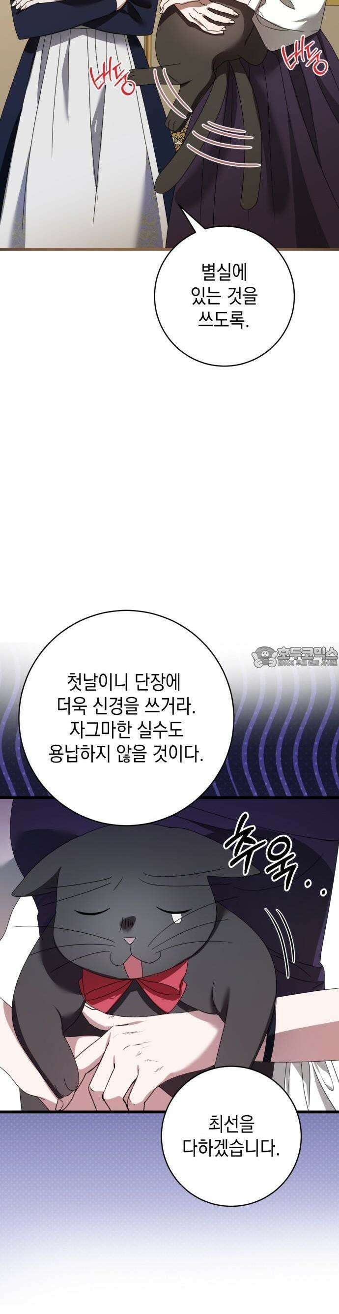 첫사랑은 원래 그런 법이랍니다, 전하 3화 43