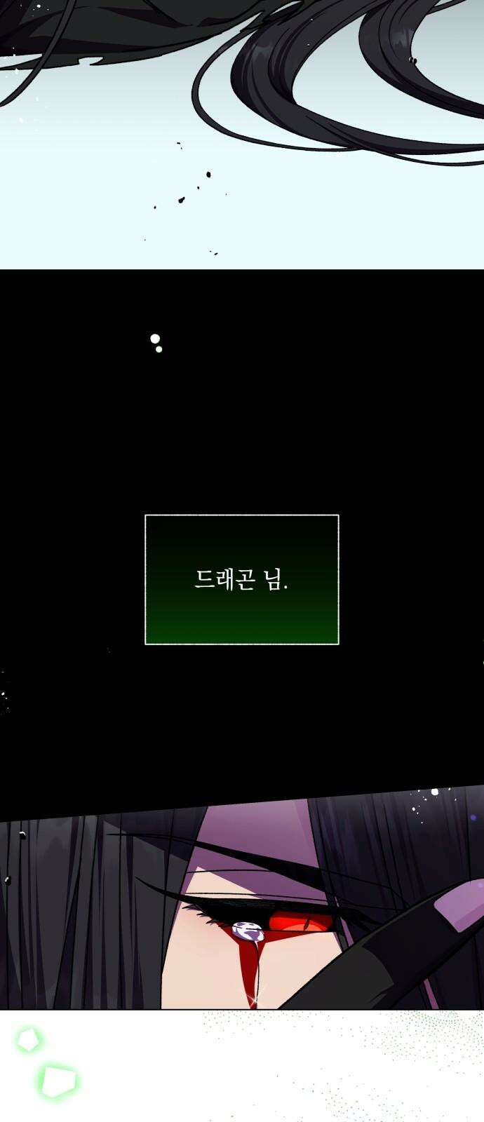 드래곤의 심장을 가지고 있습니다 106화 2