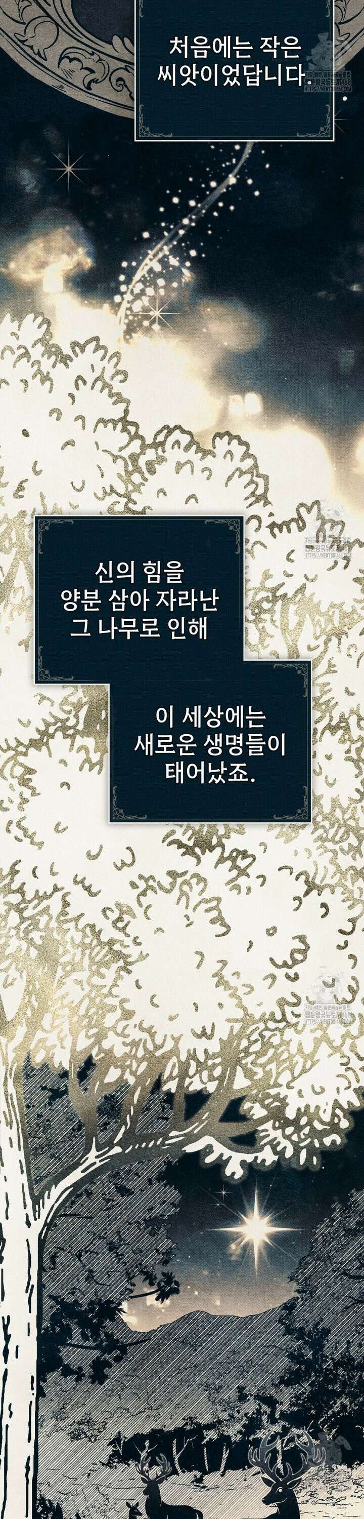 약속을 한 건 내가 아니야 50화 15