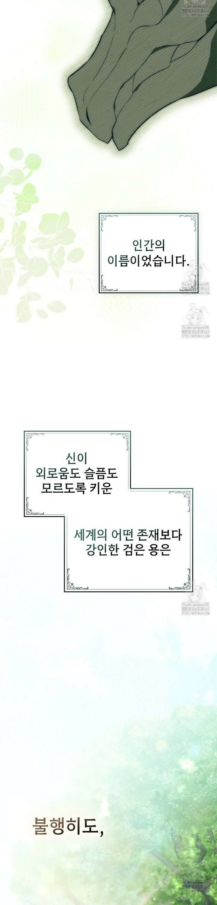 약속을 한 건 내가 아니야 50화 34