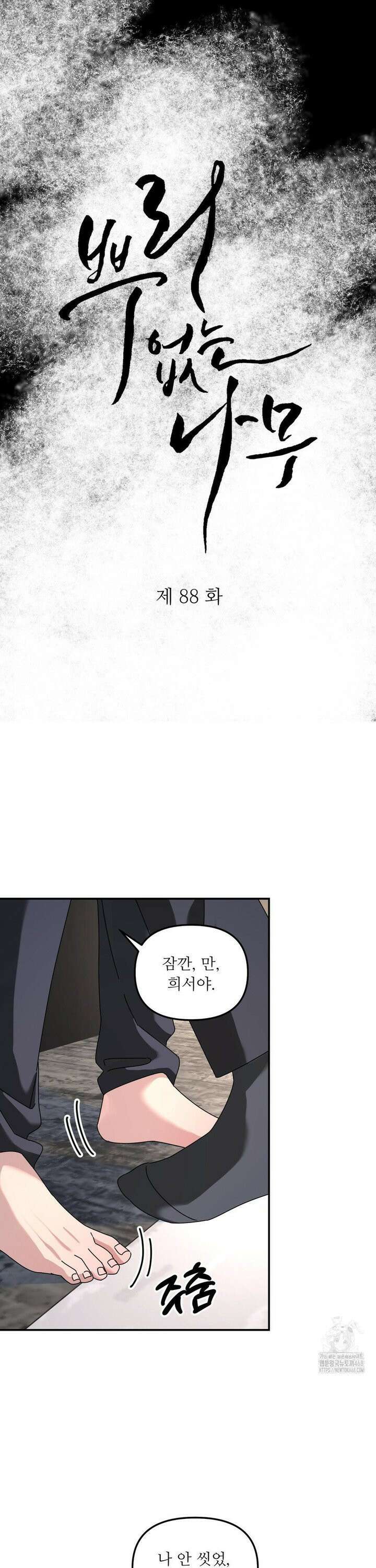 뿌리 없는 나무 88화 3