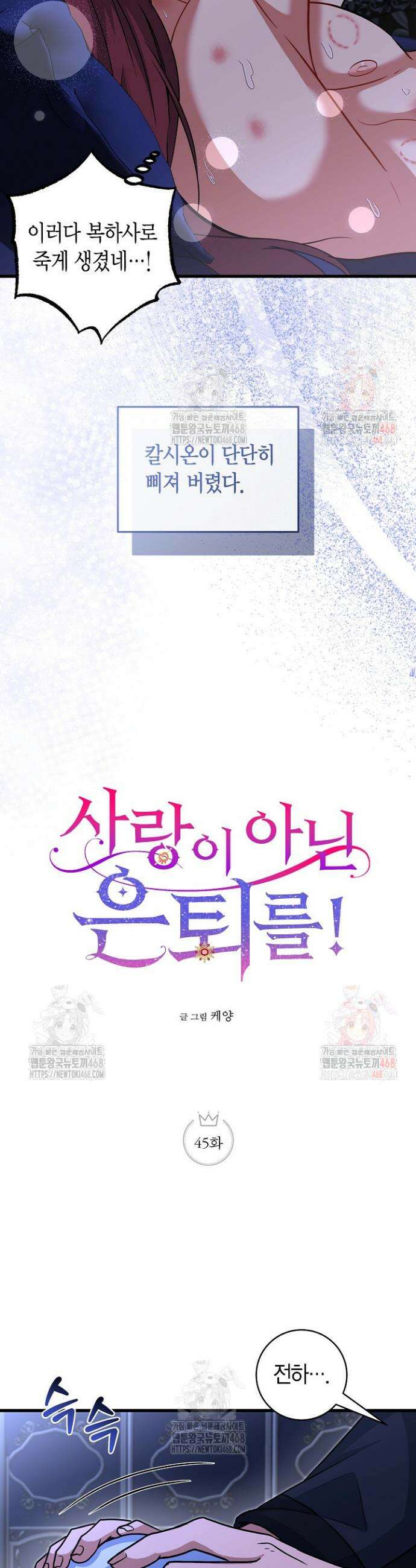 사랑이 아닌 은퇴를 45화 8