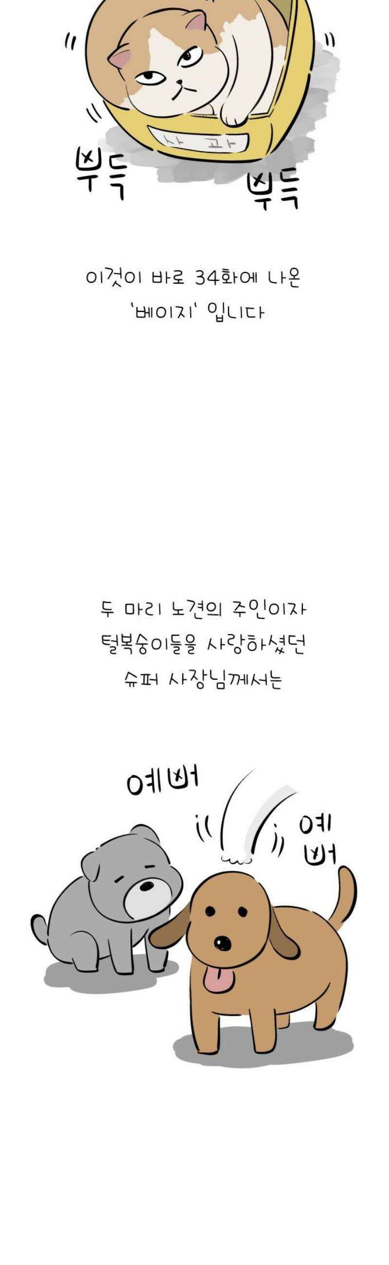 낢이 사는 이야기 - 계속되는 미미한 인생 외전 : 베이지 전기 3
