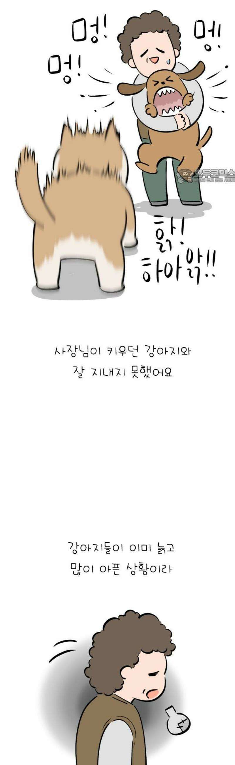 낢이 사는 이야기 - 계속되는 미미한 인생 외전 : 베이지 전기 9