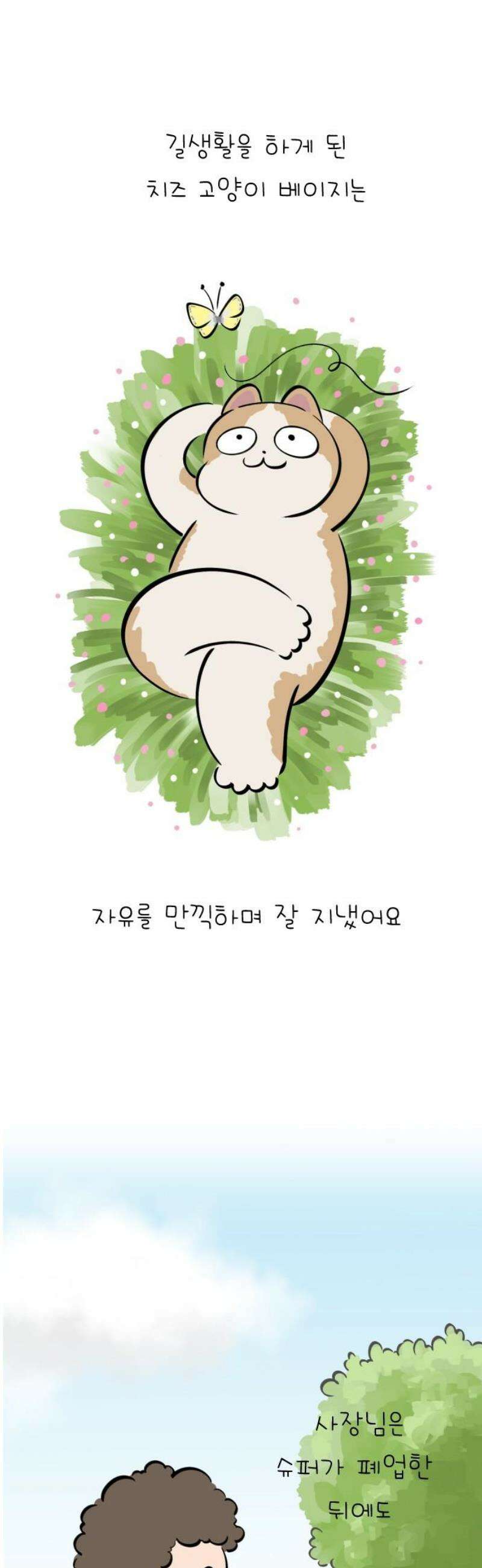 낢이 사는 이야기 - 계속되는 미미한 인생 외전 : 베이지 전기 16