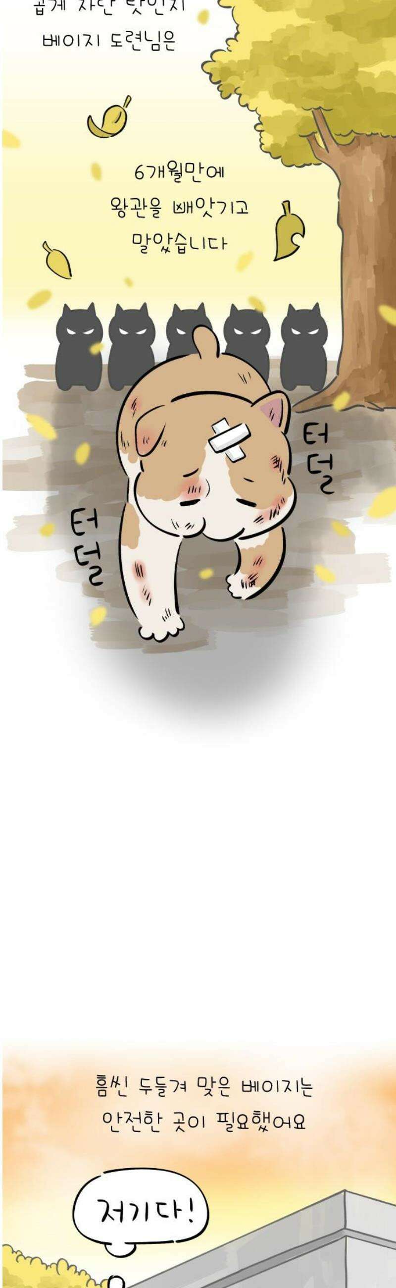 낢이 사는 이야기 - 계속되는 미미한 인생 외전 : 베이지 전기 20