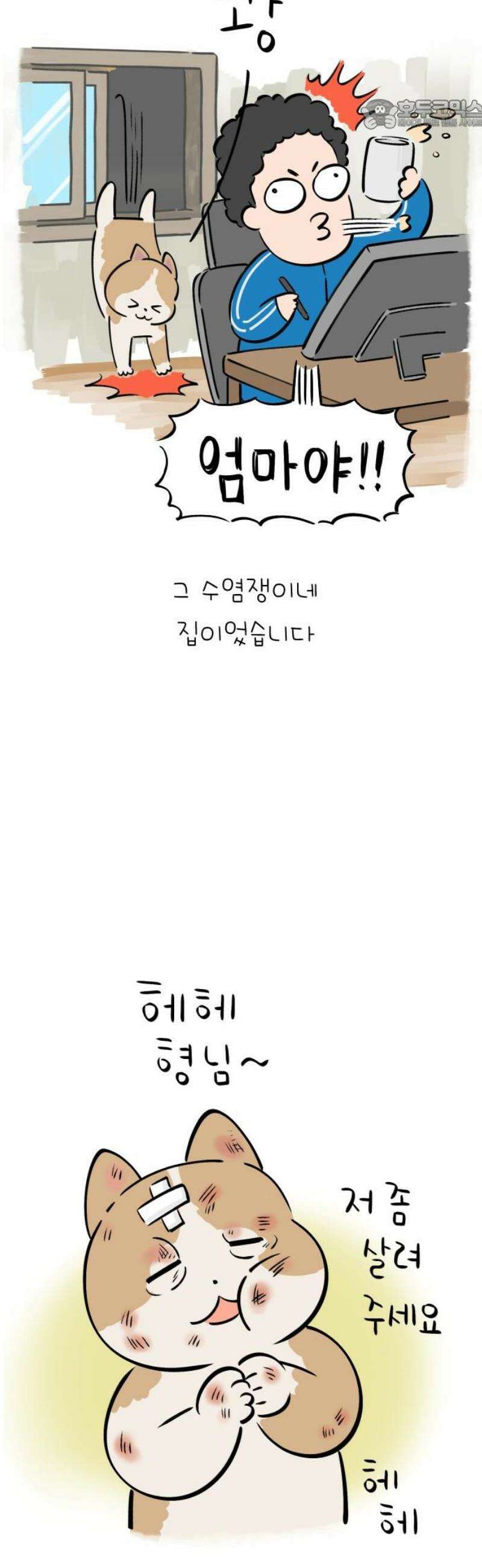 낢이 사는 이야기 - 계속되는 미미한 인생 외전 : 베이지 전기 22
