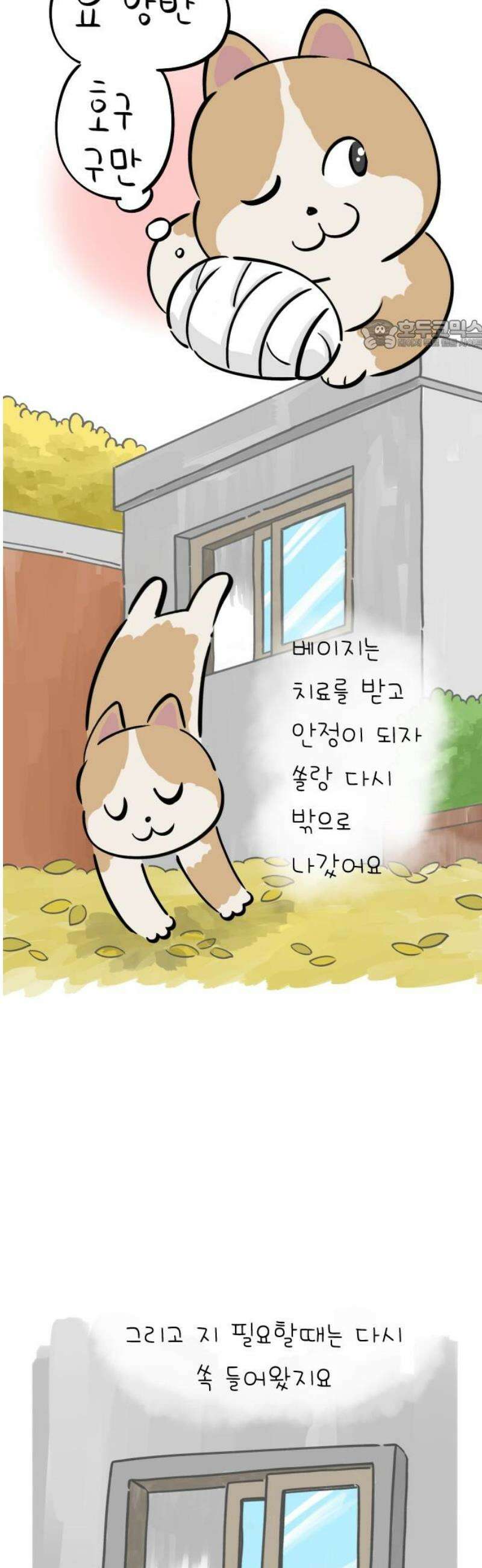 낢이 사는 이야기 - 계속되는 미미한 인생 외전 : 베이지 전기 24
