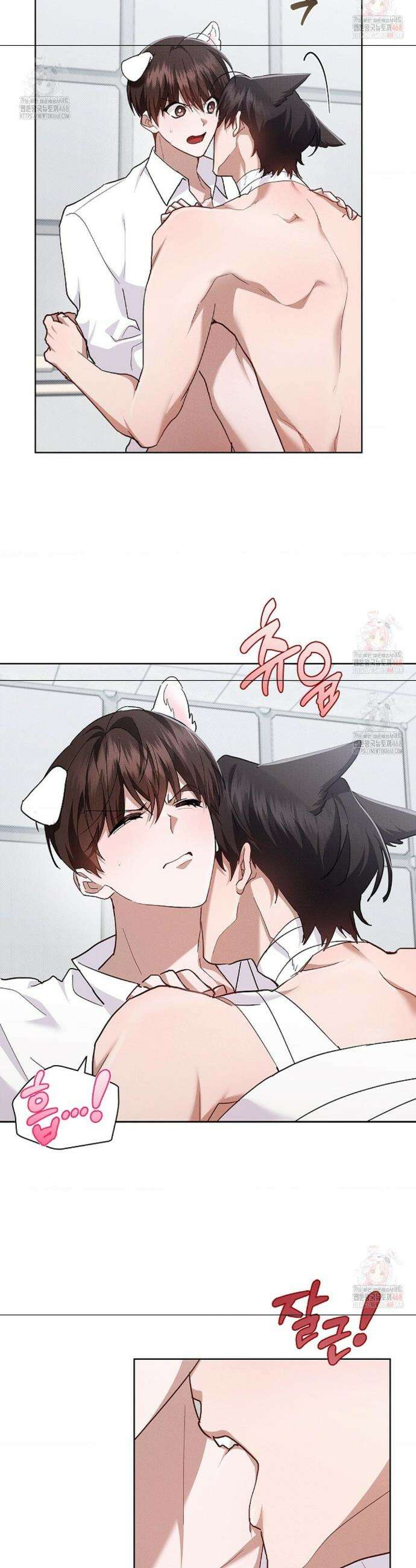 강아지는 건드리지 마라 41화 3