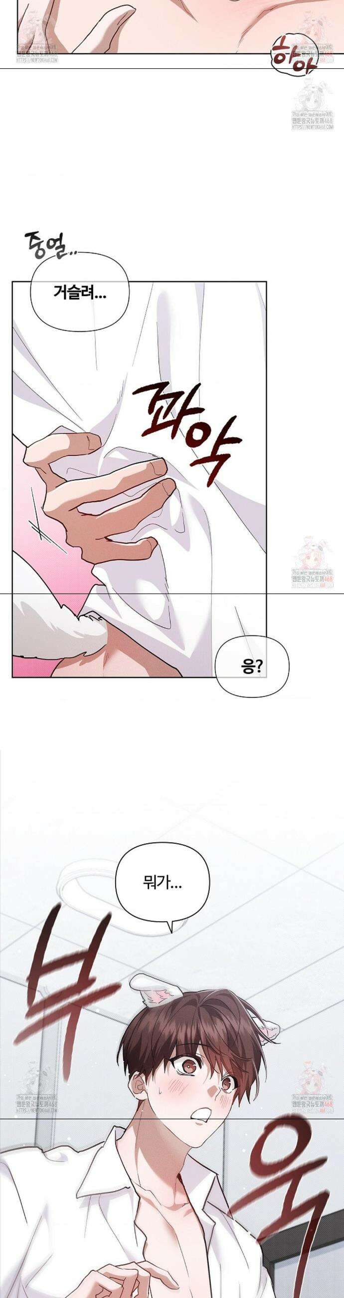 강아지는 건드리지 마라 41화 5