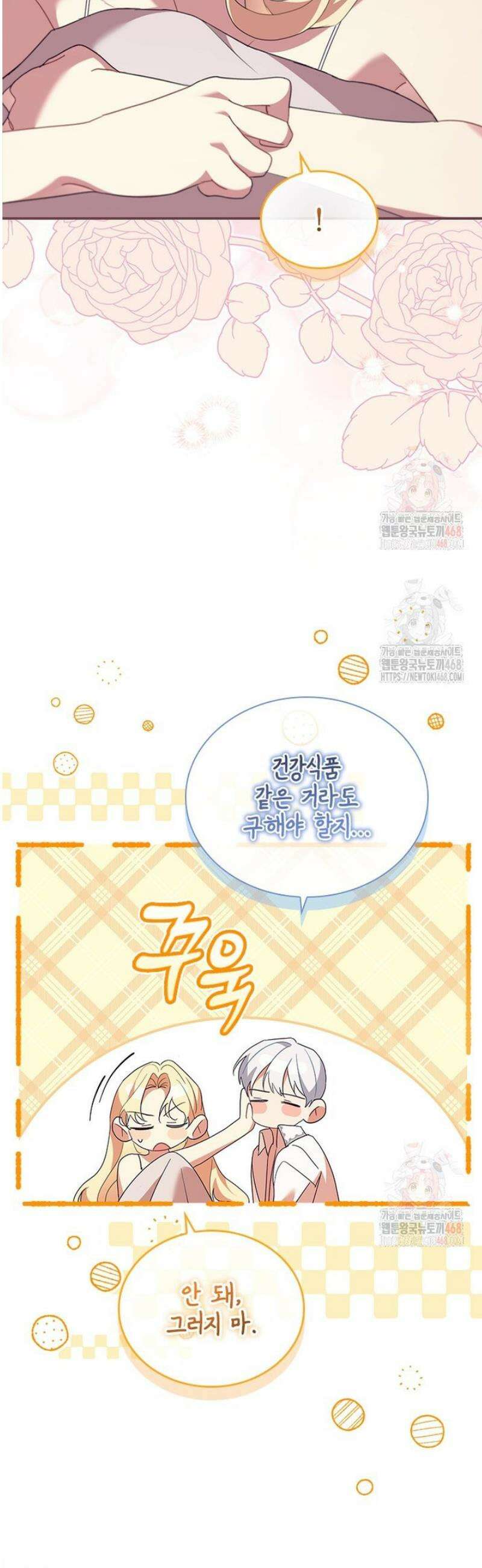막내 황녀님 외전 25화 14