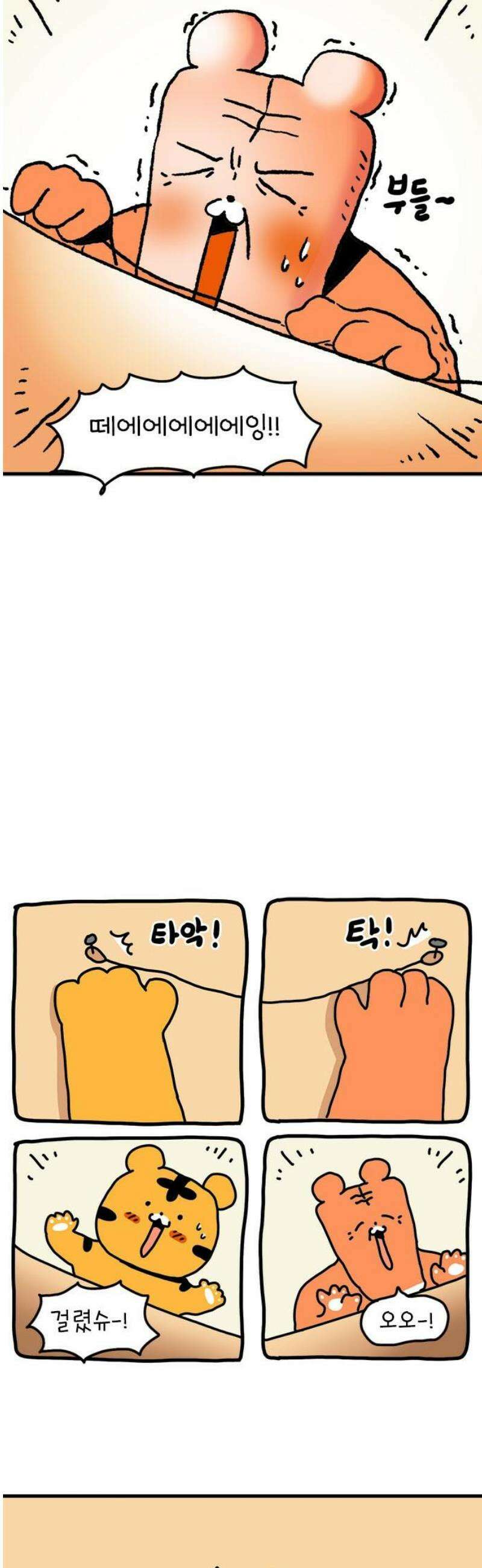소심한 호랭이 코코 50화 코코의 생일파티 (2) 완 6