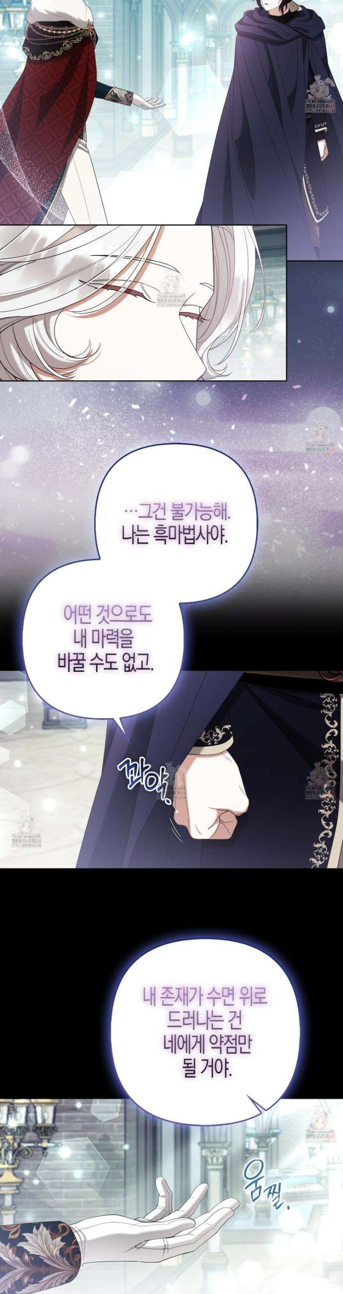 대공가의 여우 황녀님 78화 11