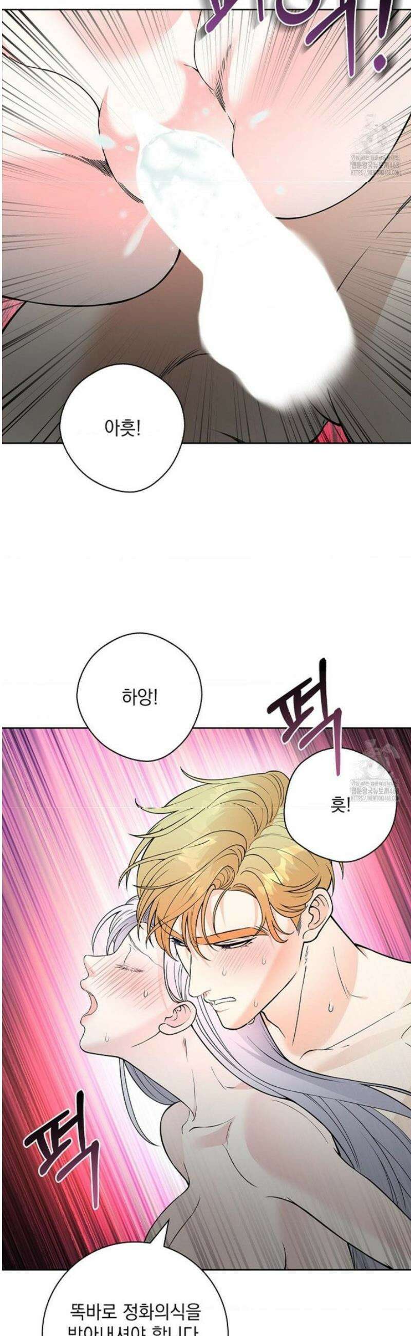 성녀의 꽃잎은 젖어든다 11화 8