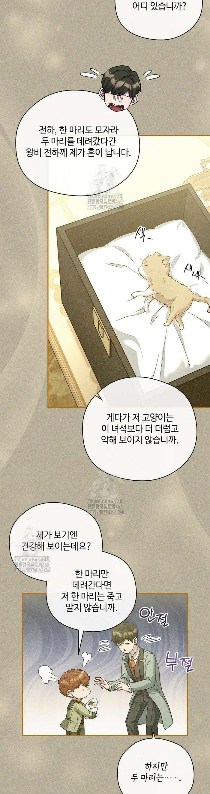 후원에 핀 제비꽃 55화 33