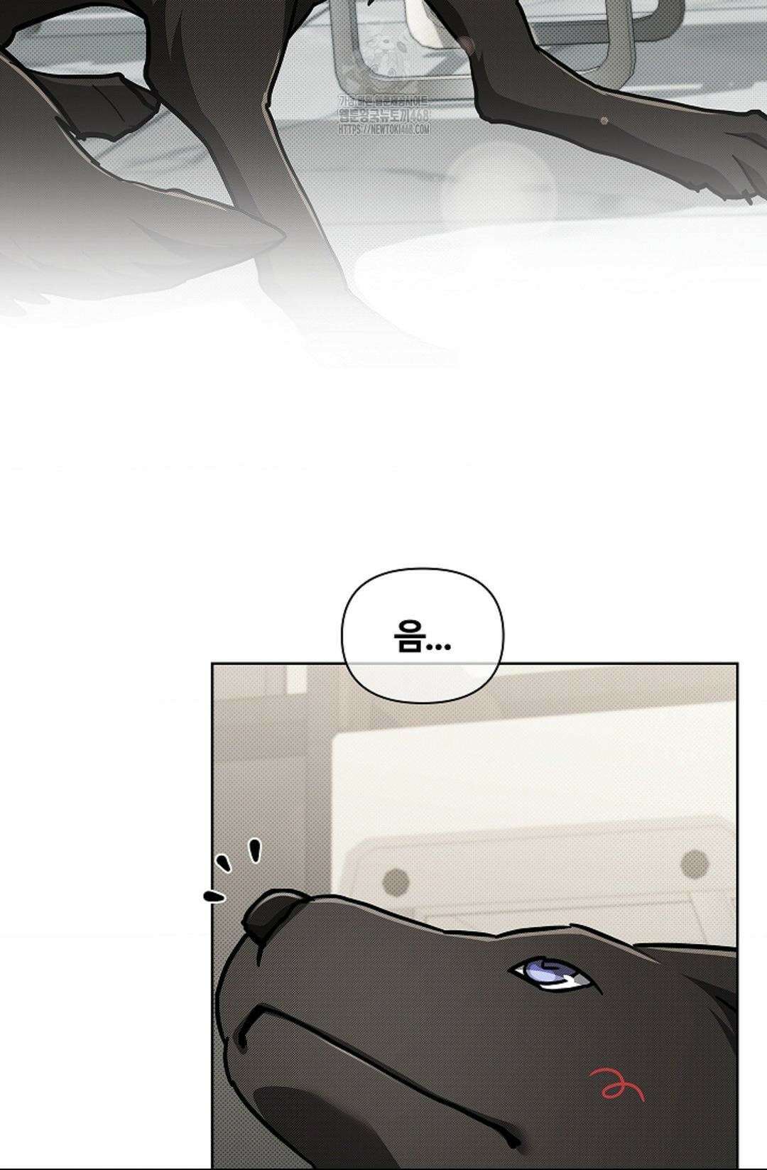 강아지는 건드리지 마라 45화(에필로그 1화) 18