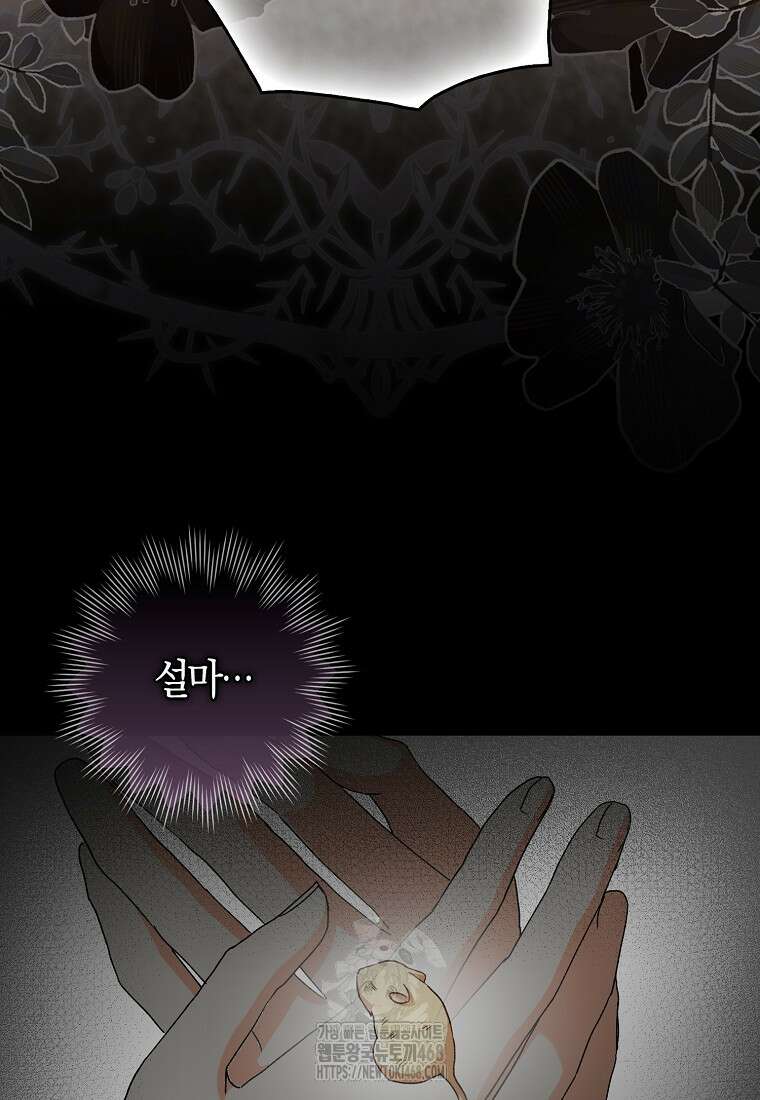 신데렐라는 이 멧밭쥐가 데려갑니다 3화 36