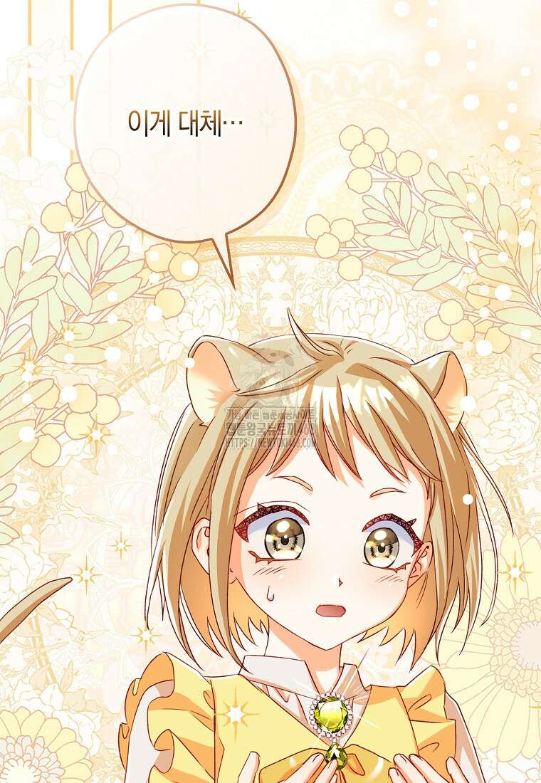 신데렐라는 이 멧밭쥐가 데려갑니다 3화 65
