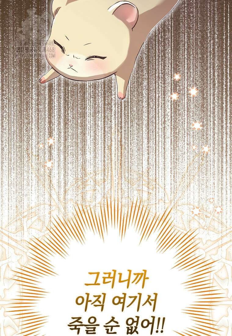 신데렐라는 이 멧밭쥐가 데려갑니다 3화 127