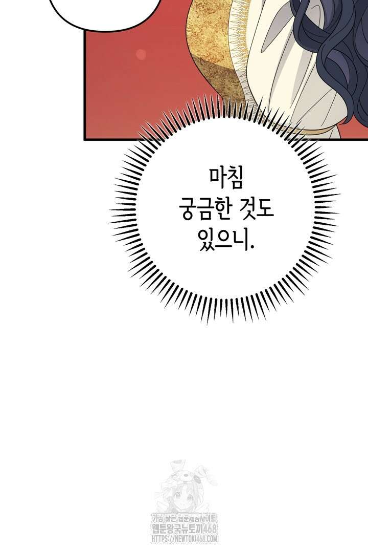 몰락한 왕녀에게는 회귀가 필요합니다 41화 62