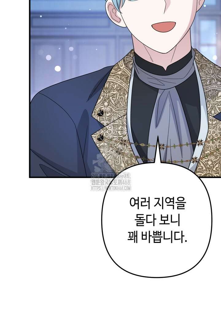 몰락한 왕녀에게는 회귀가 필요합니다 41화 73